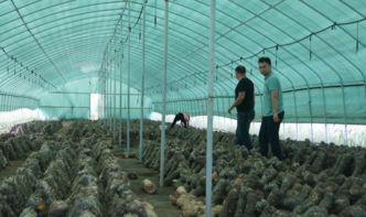 駐馬店市質(zhì)檢中心開(kāi)展2017年農(nóng)產(chǎn)品質(zhì)量安全第三次例行監(jiān)測(cè)工作