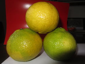 洪江市黔陽紅農產品專業合作社 專業食用農產品批發與供應服務